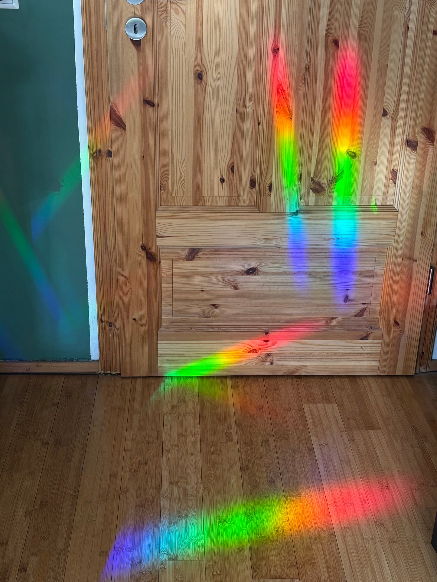 Bienen Suncatcher
